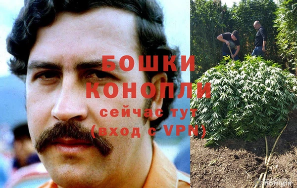 дурь Костерёво