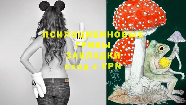 мескалин Корсаков