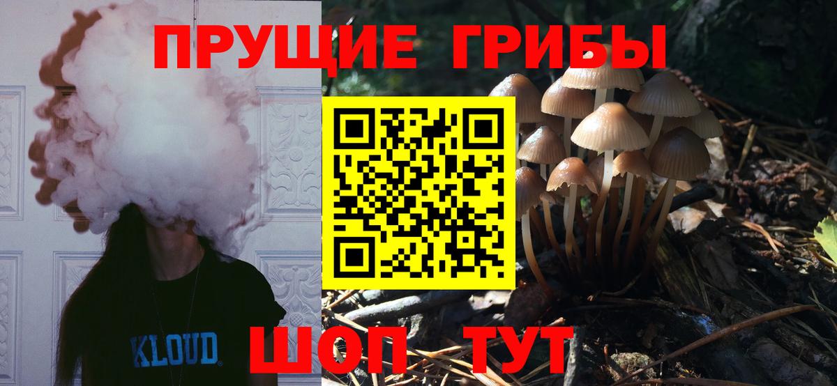 Галлюциногенные грибы Magic Shrooms Коломна