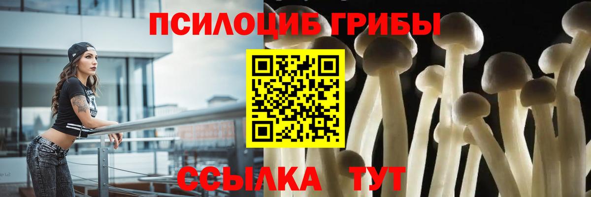 где купить наркоту  Вход с VPN  Псилоцибиновые грибы GOLDEN TEACHER  Коломна  Псилоцибиновые грибы MAGIC MUSHROOMS 