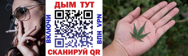 Канабис SATIVA & INDICA Коломна